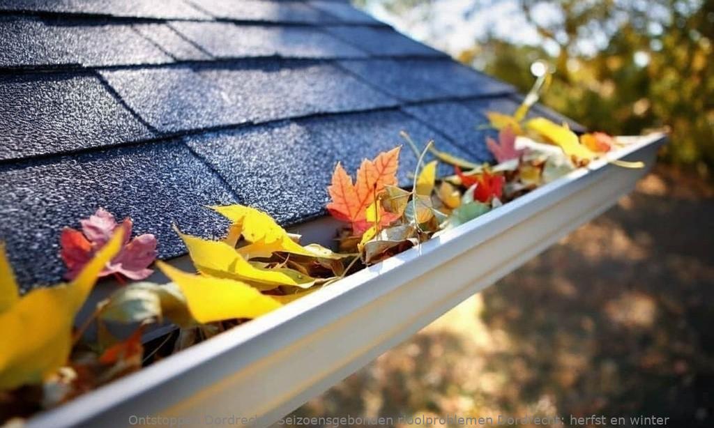 Seizoensgebonden rioolproblemen Dordrecht: herfst en winter