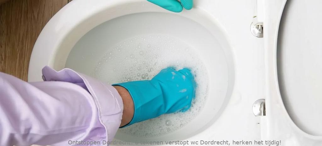 6 tekenen verstopt wc Dordrecht, herken het tijdig!